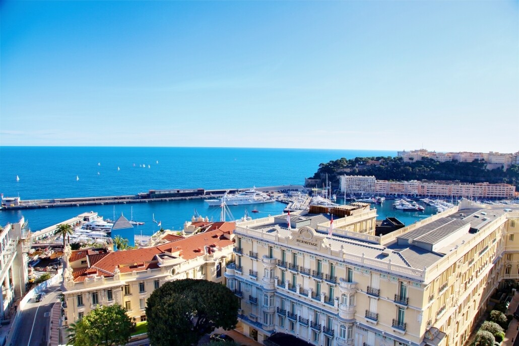 MURS ET FONDS DE COMMERCE CARRE D'OR - Properties for sale in Monaco