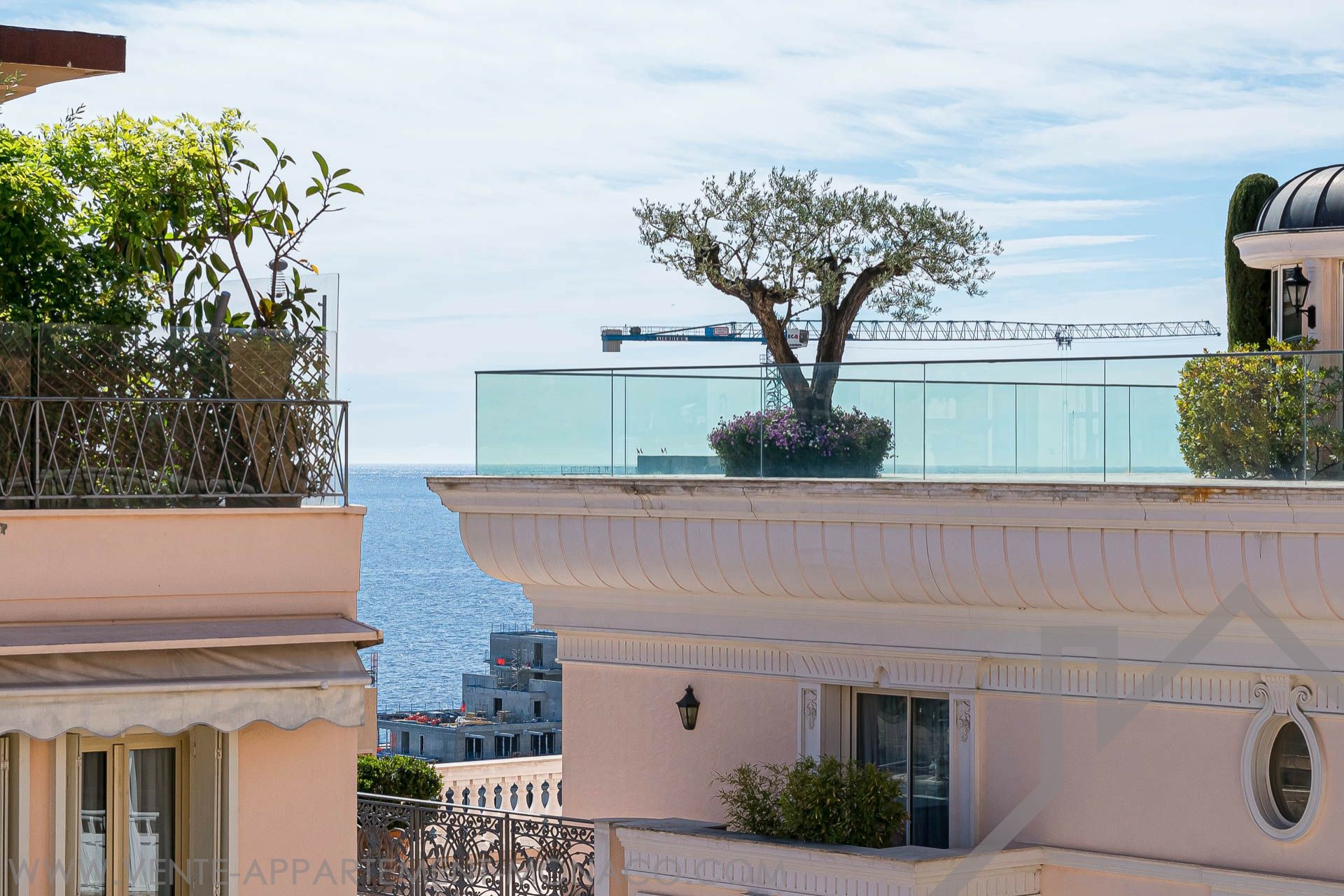 MONTECARLO HOUSE Properties for sale in Monaco