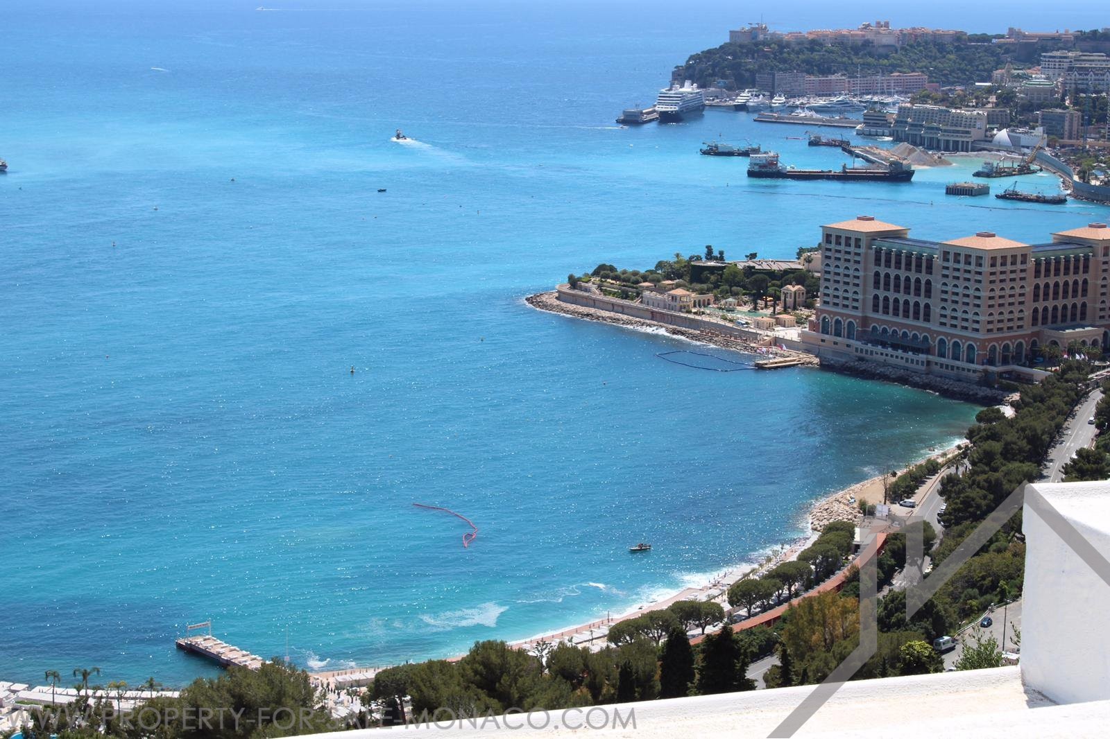 Luxury Villa Larvotto Seaview Properties for sale in Monaco