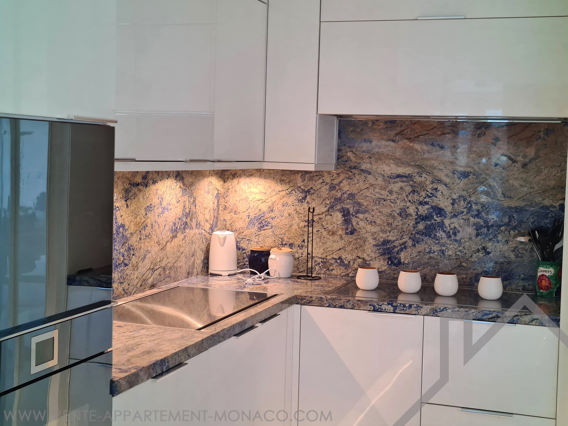 Luxury apartment Properties for sale in Monaco