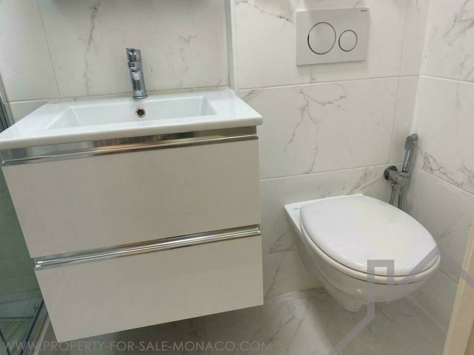 Studio Mixed Use Properties for sale in Monaco