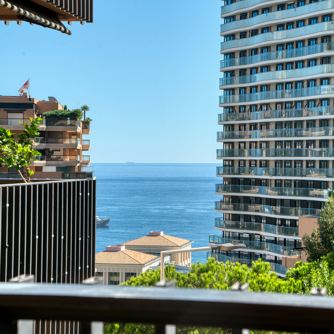 Spacious 2-room tastefully renovated - Properties for sale in Monaco