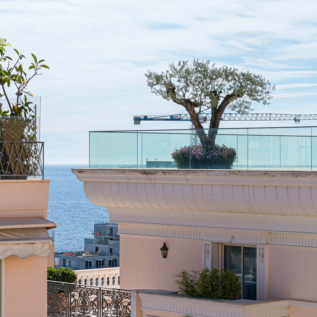 MONTE-CARLO HOUSE - Properties for sale in Monaco