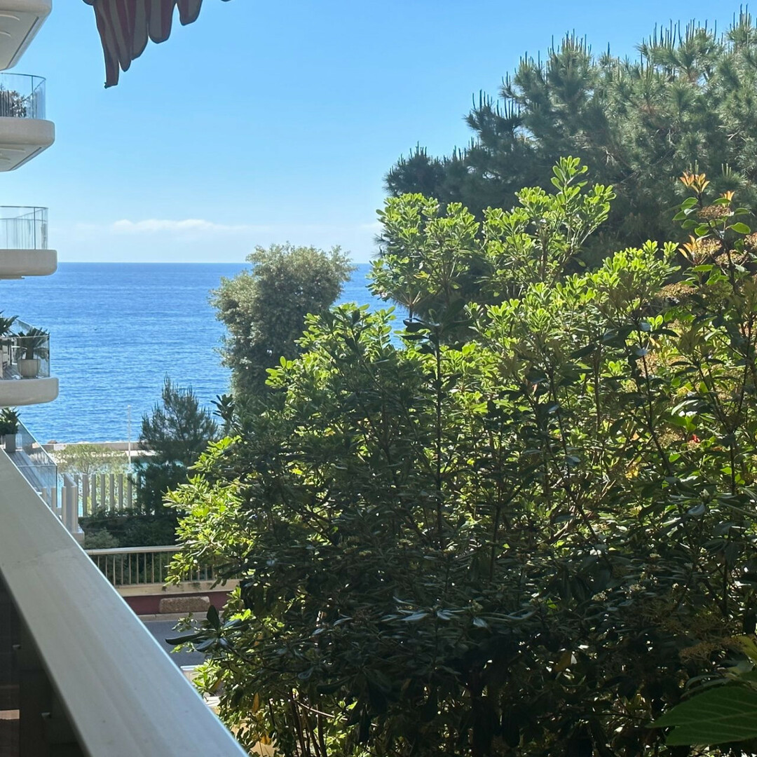 Vallespir - Properties for sale in Monaco