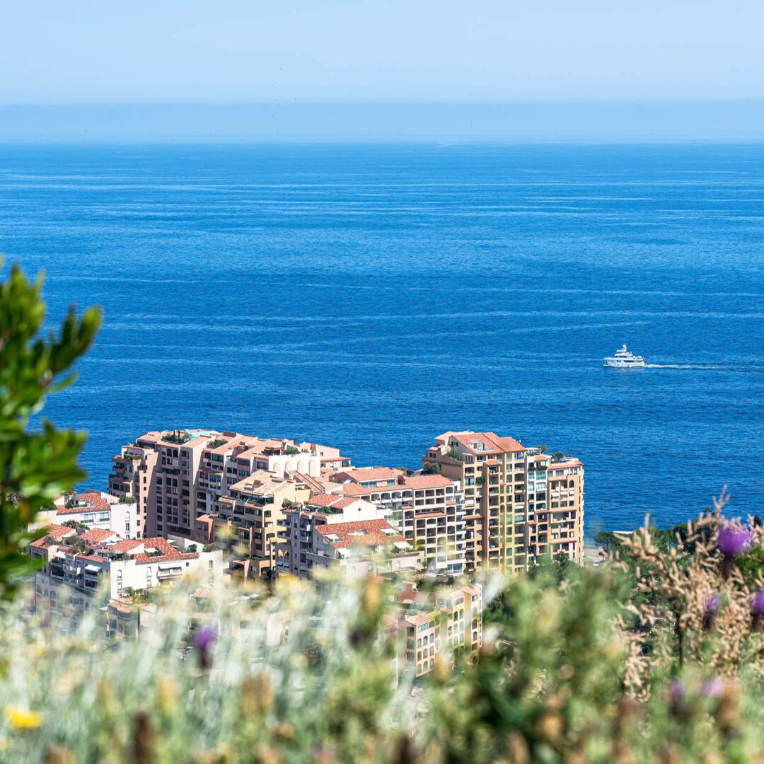 THE EXOTIC - Properties for sale in Monaco