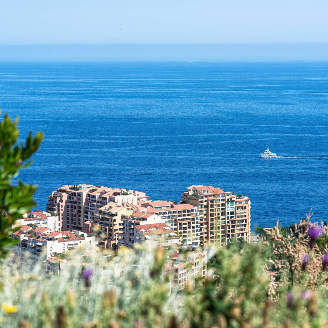 THE EXOTIC - Properties for sale in Monaco