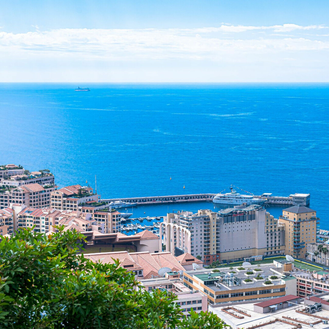 THE EXOTIC - Properties for sale in Monaco