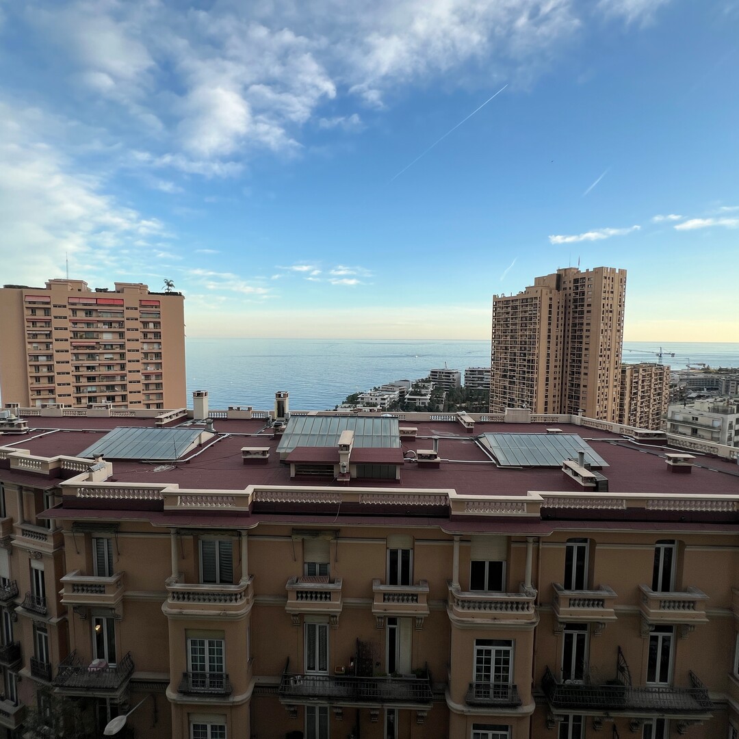THE CONTINENTAL - 2 ROOMS - Properties for sale in Monaco