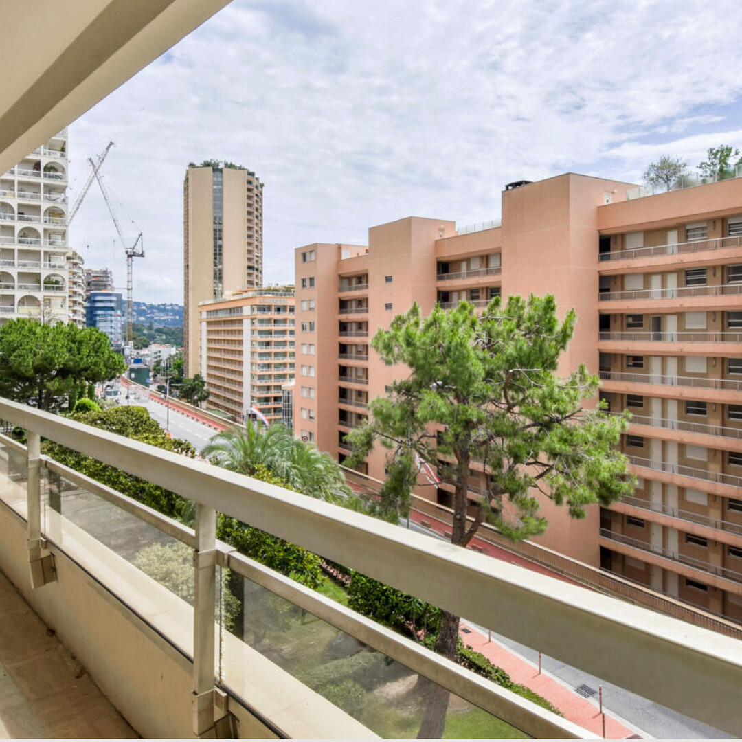 LAROUSSE / CHATEAU AMIRAL / 1 BEDROOM APARTMENT - Properties for sale in Monaco