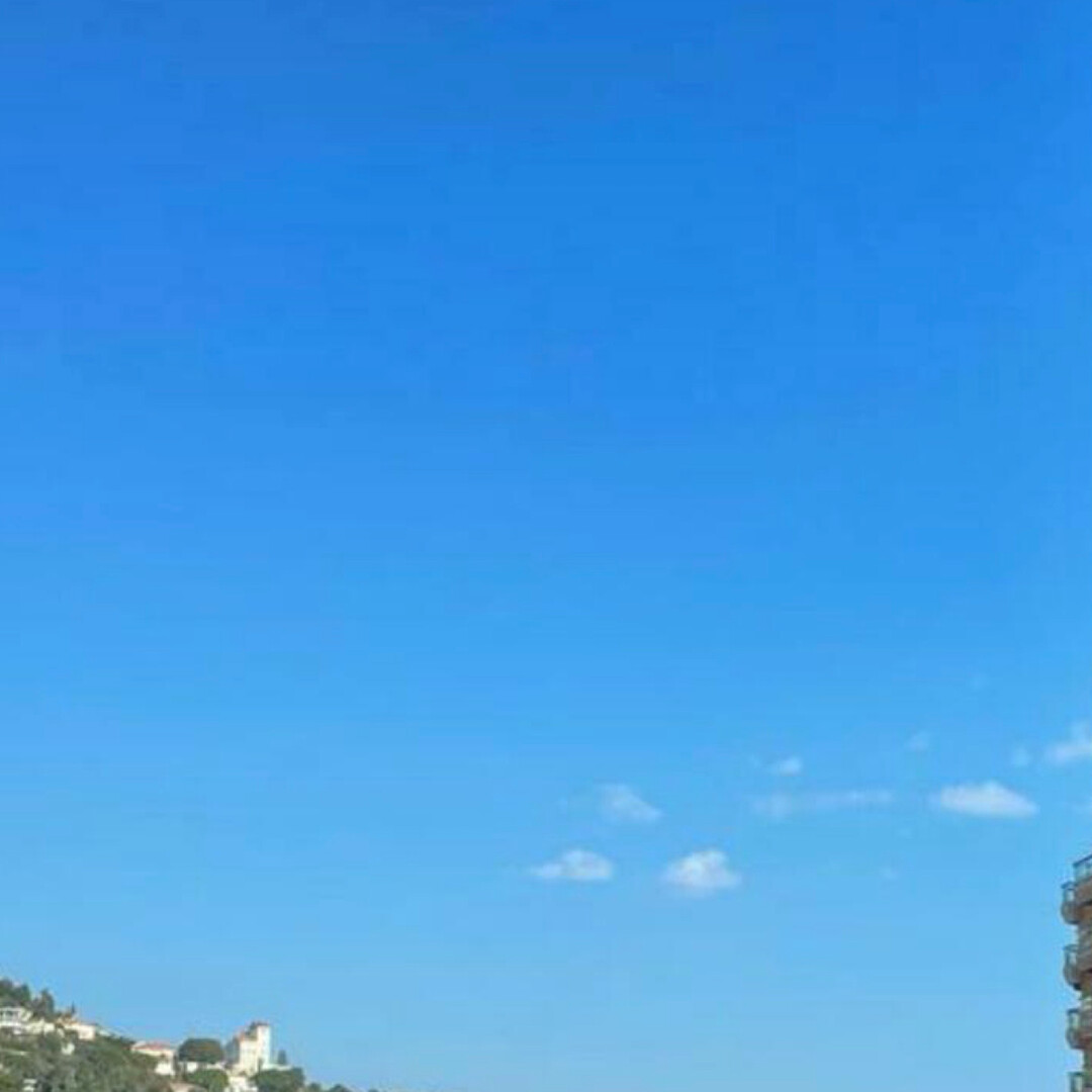 LAROUSSE/SAINT ROMAN/VILLA DEL SOLE/Penthouse/Roof - Properties for sale in Monaco
