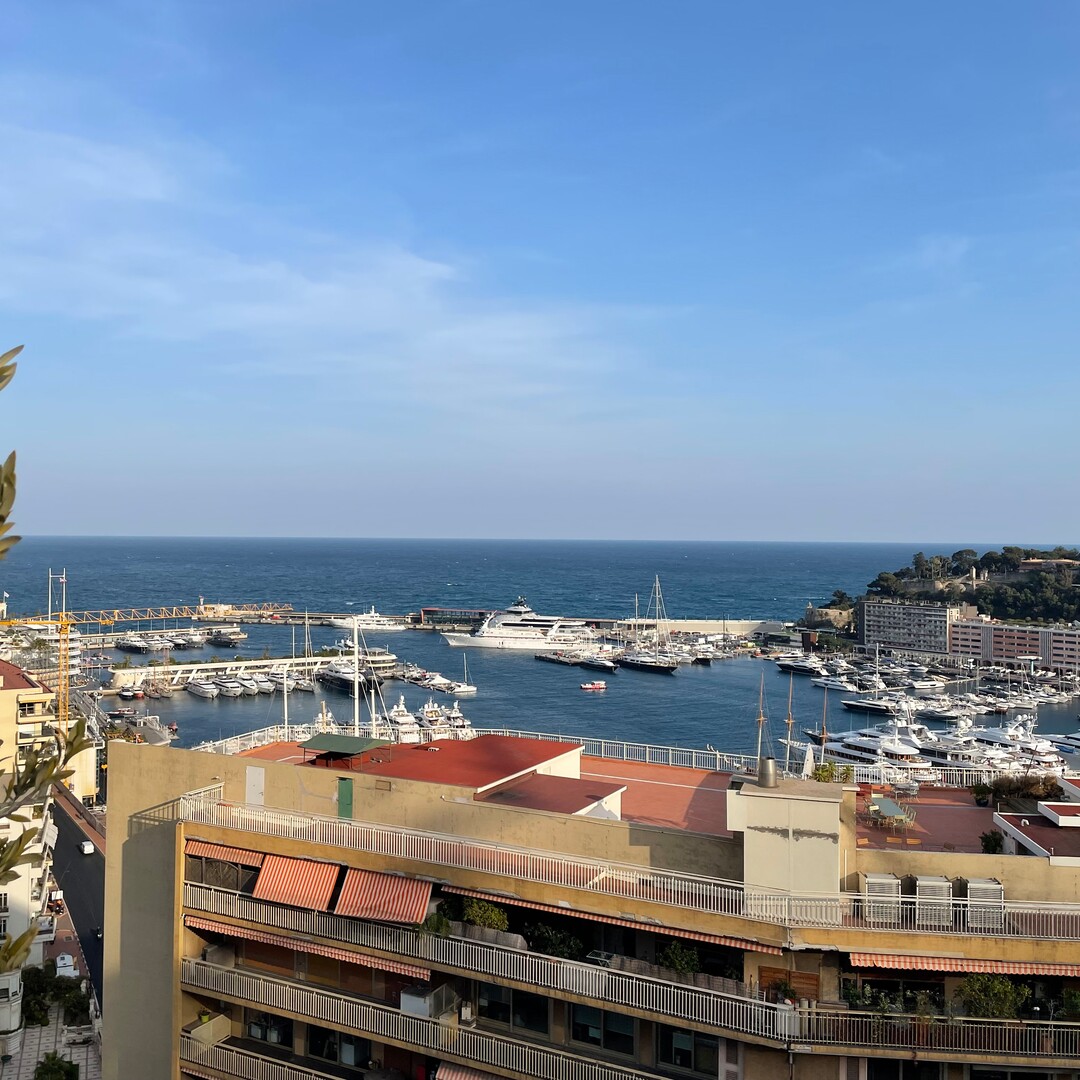 HAUT CONDAMINE/ HARBOR CREST / TRIPLEX - Properties for sale in Monaco