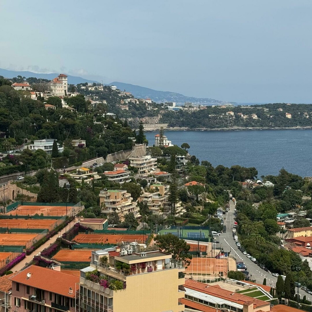 PARC SAINT ROMAN / LARGE STUDIO / CELLAR AND PARKING - Properties for sale in Monaco