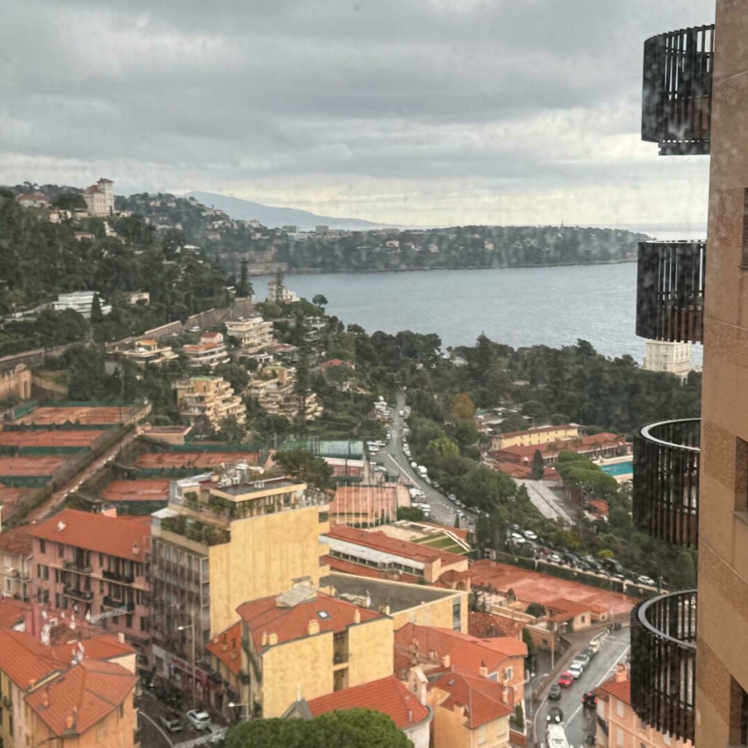 PARC SAINT ROMAN / LARGE STUDIO / CELLAR AND PARKING - Properties for sale in Monaco