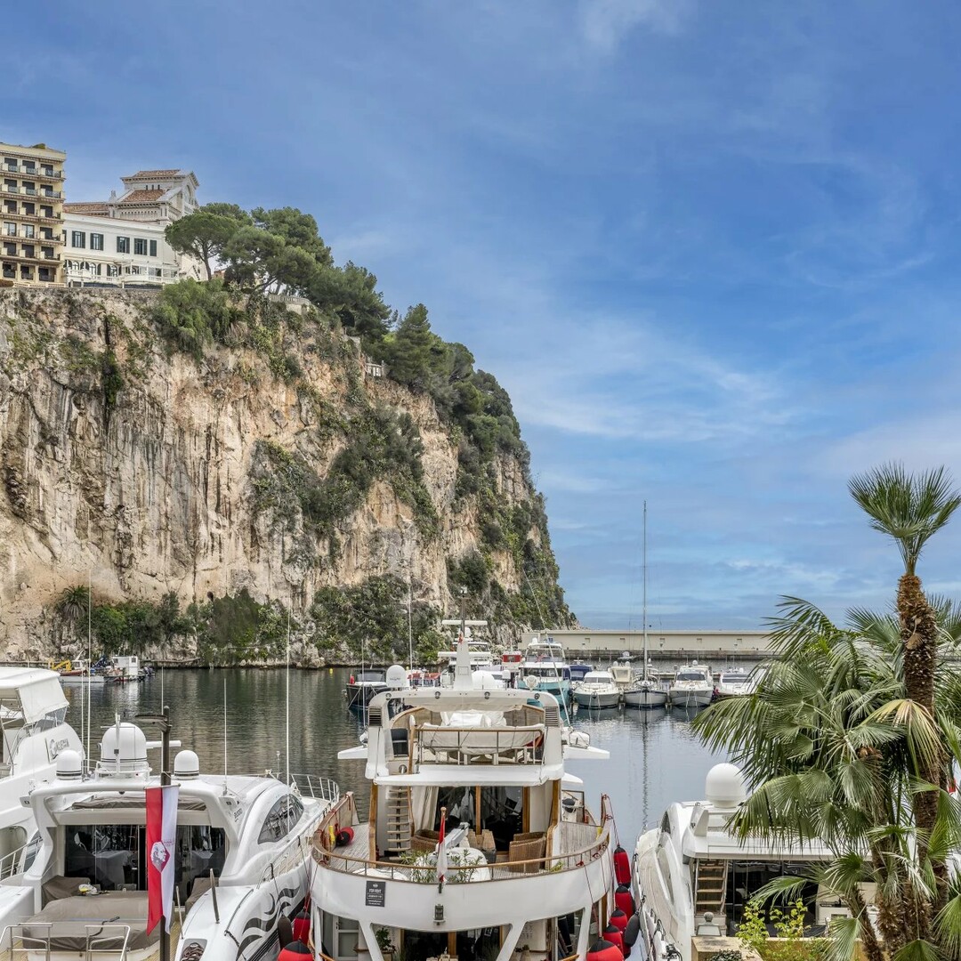Fontvieille - Le Giorgione - 2 rooms - Properties for sale in Monaco