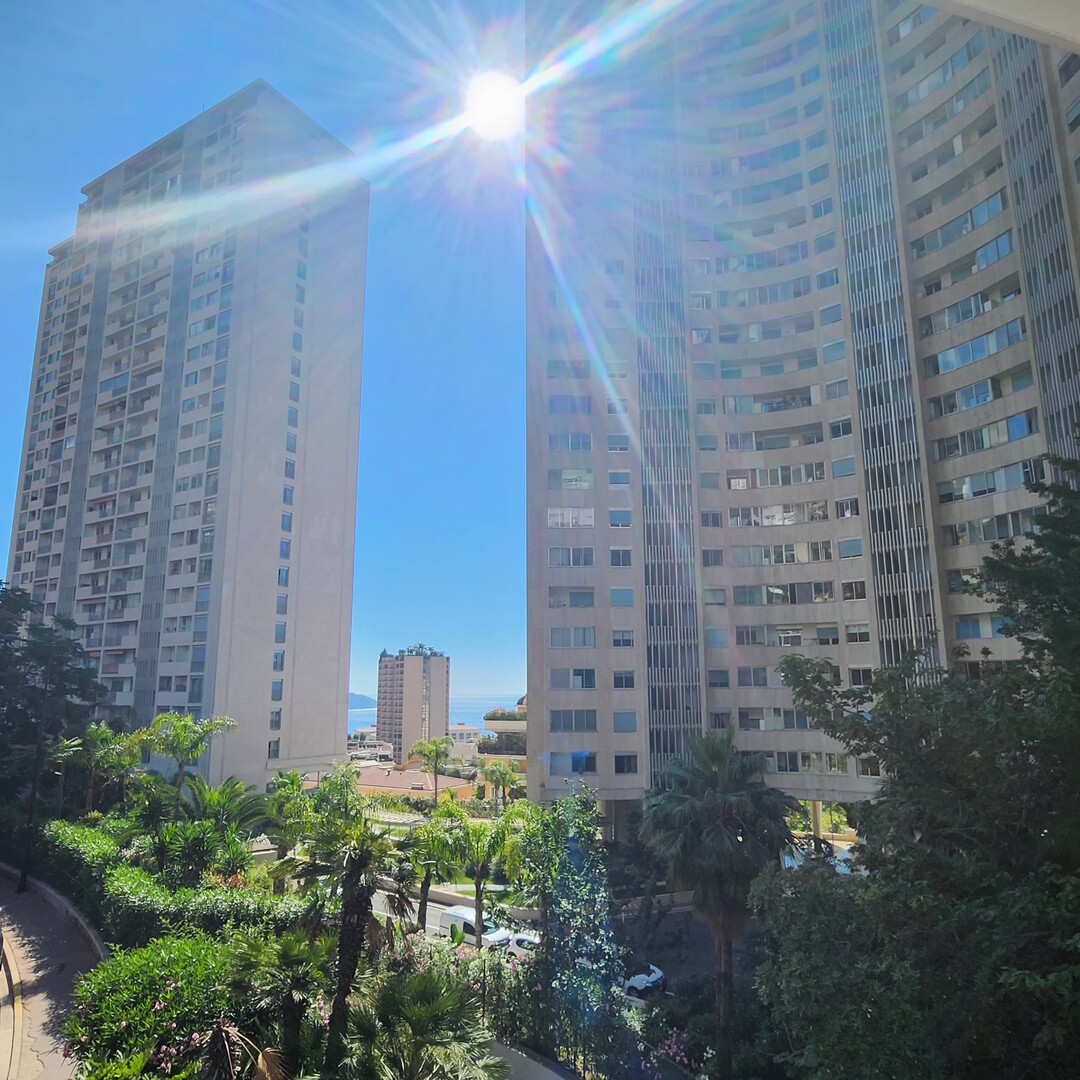 NEW - AUTEUIL RESIDENCE - RENOVATED 2 ROOMS - Properties for sale in Monaco