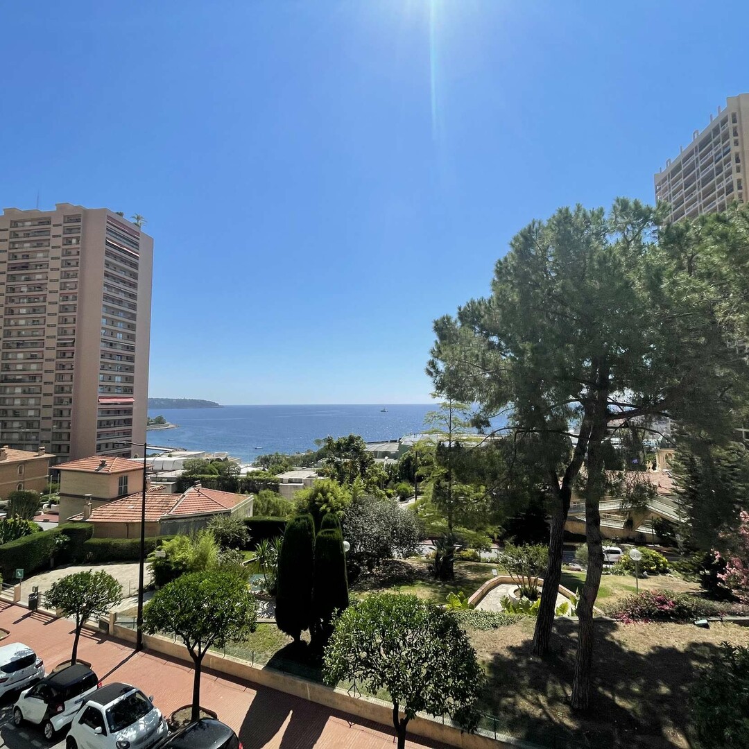 STUDIO AVEC LOGGIA - LE TROCADÉRO - Properties for sale in Monaco