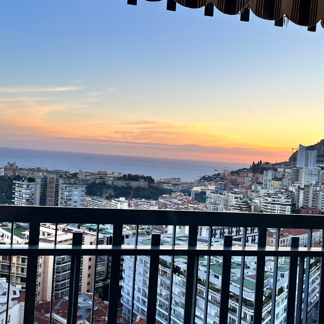 Millefiori - renovated  3 bedroom apartment with sea view - Properties for sale in Monaco