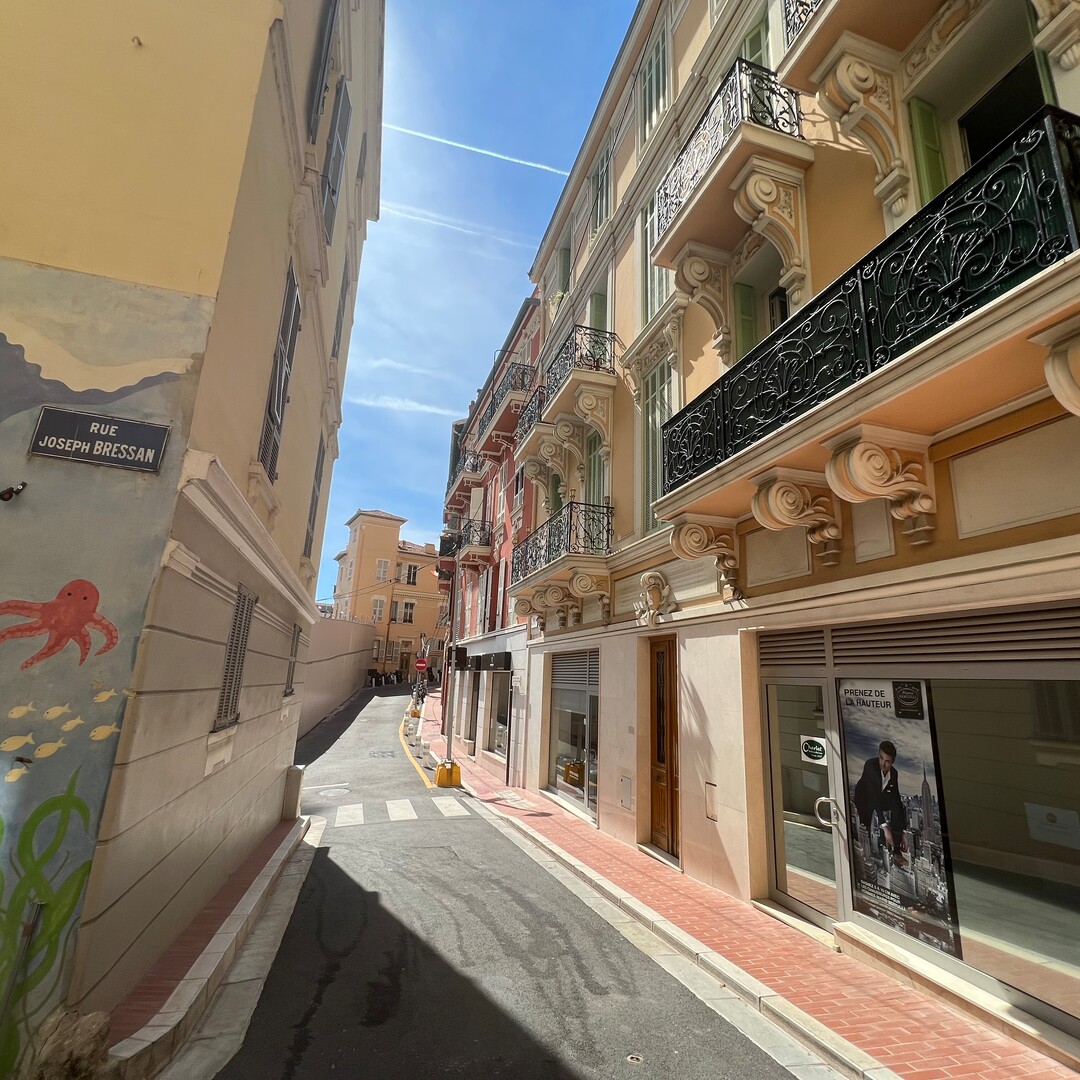 THE PLATI | JOSEPH BRESSAN | 2 ROOMS - Properties for sale in Monaco