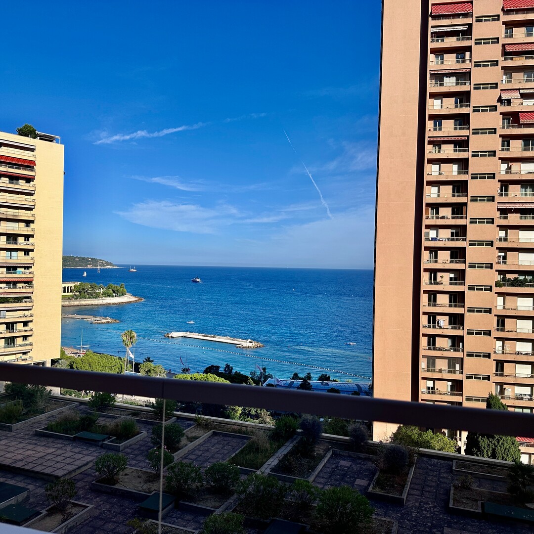 LAROUSSE | SANTA MONICA | 2 PIECES - Properties for sale in Monaco