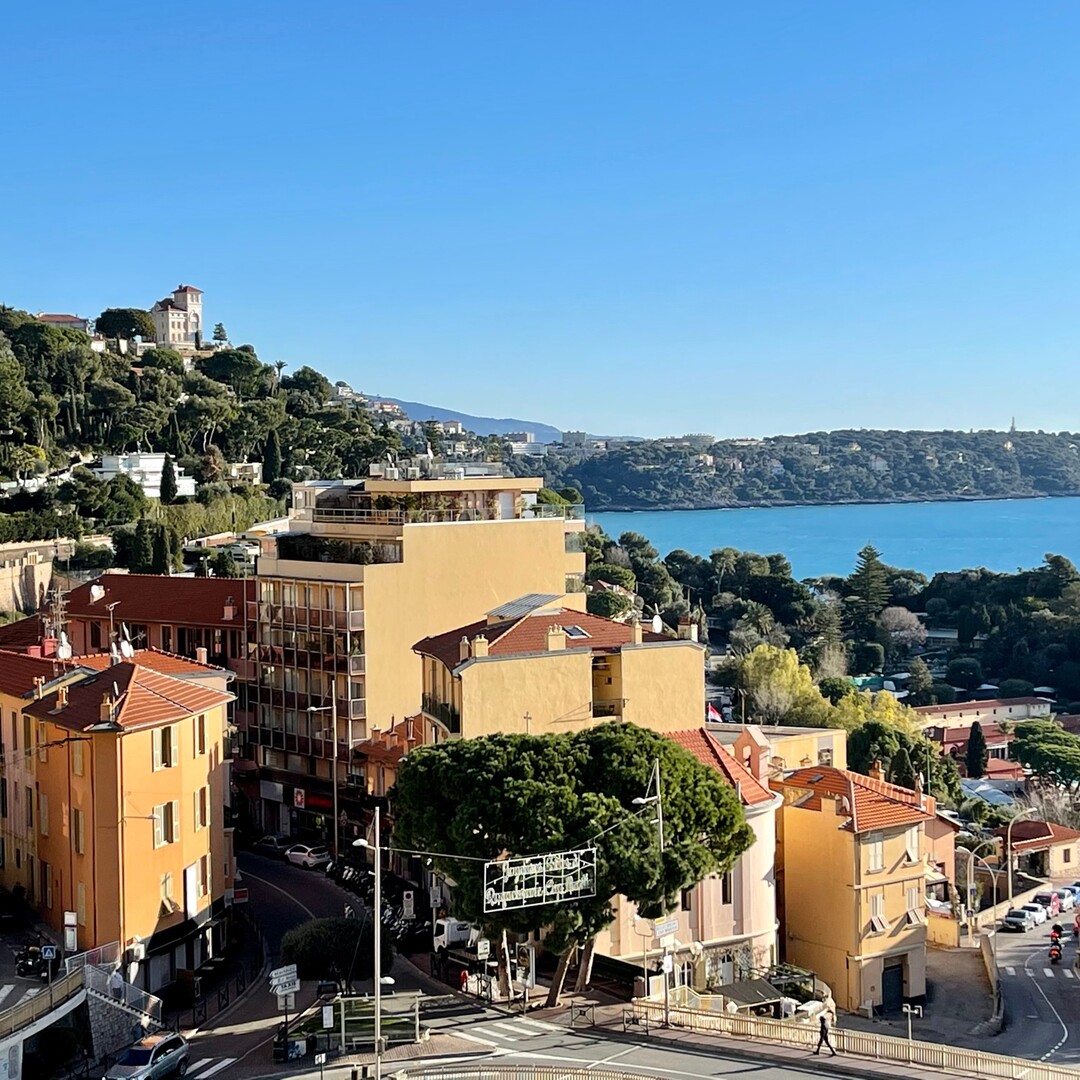 LAROUSSE | PARC SAINT ROMAN | STUDIO - Properties for sale in Monaco
