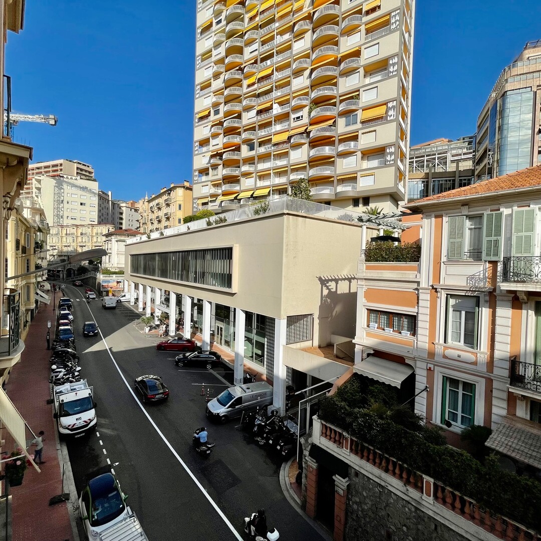 LAROUSSE | BELVEDERE PALACE | 2 ROOMS - Properties for sale in Monaco