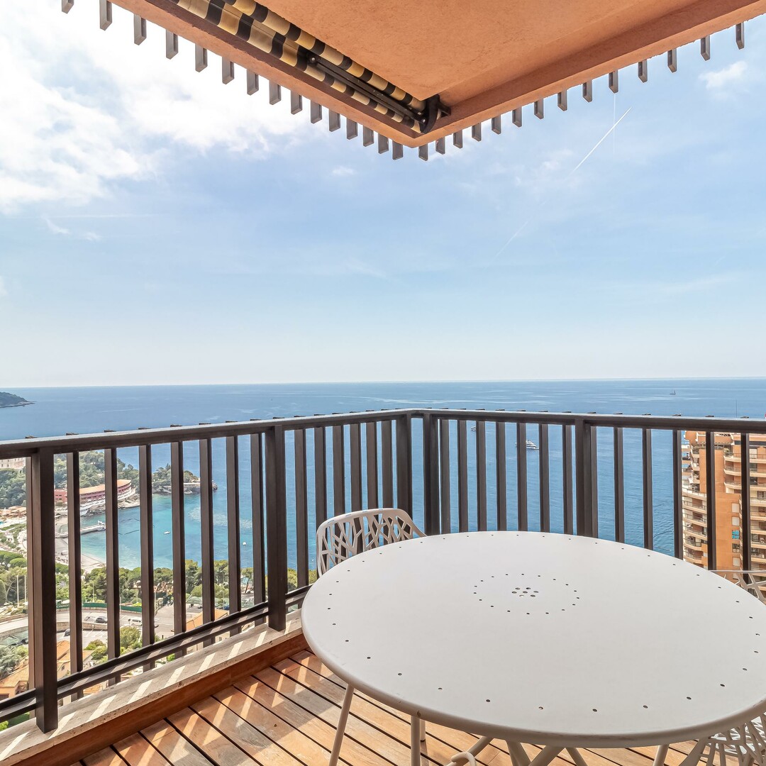 Large apartment in Parc Saint Roman - Properties for sale in Monaco