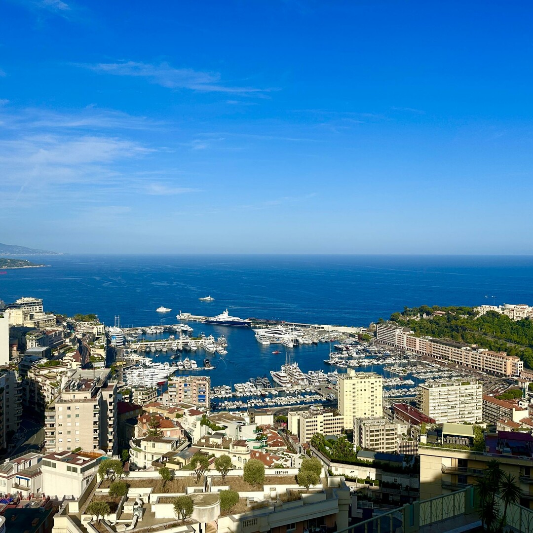 Penthouse with a rooftop terrace and panoramic seaview - Properties for sale in Monaco