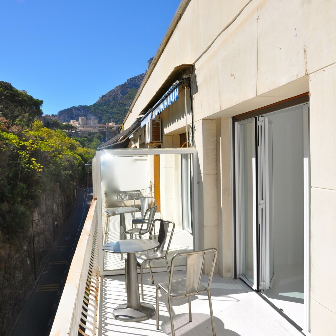 Modern 1-bedroom, bright and airy! Must see! - Properties for sale in Monaco
