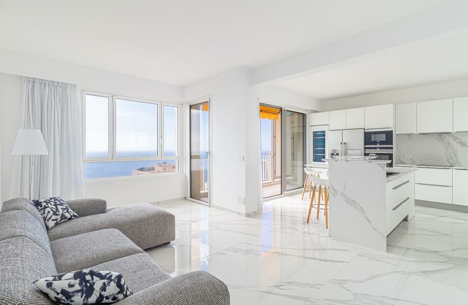 Gorgeous apartment, seaview, with a large parking space - Properties for sale in Monaco