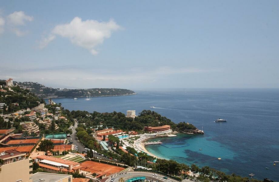 Large apartment in Parc Saint Roman - Properties for sale in Monaco