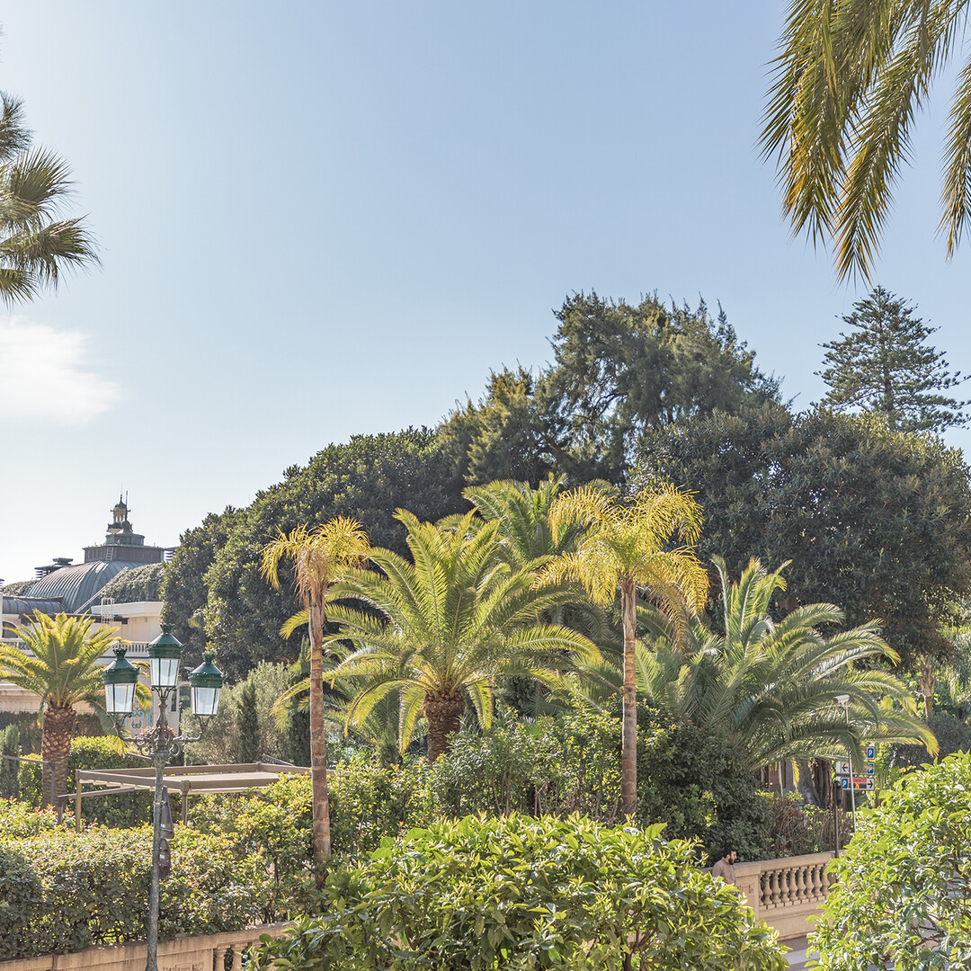 Luxury renovated 3 rooms apartment - Properties for sale in Monaco