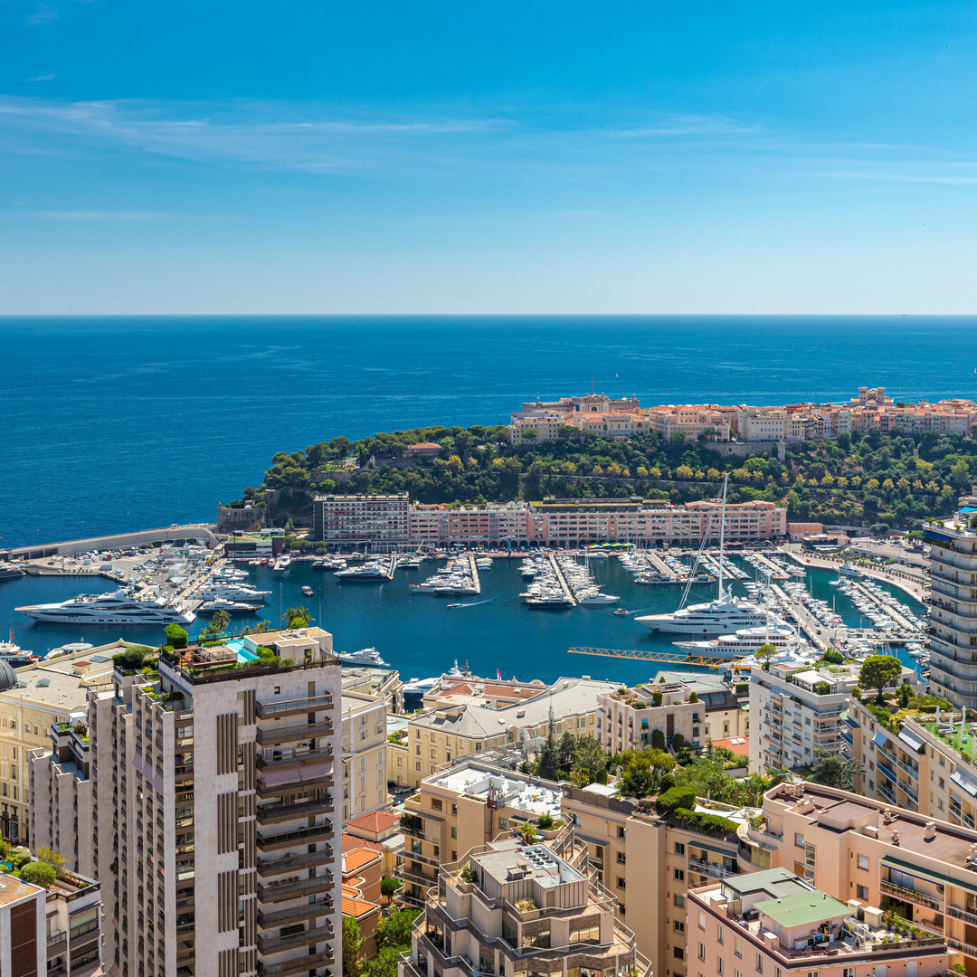 MILLEFIORI QUITE AREA  IN THE CENTER OF MONTE-CARLO - Properties for sale in Monaco