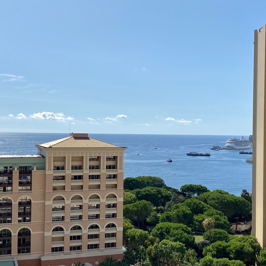 MONTE CARLO SUN 3 ROOMS MIXTE CELLAR PARKING POOL - Properties for sale in Monaco