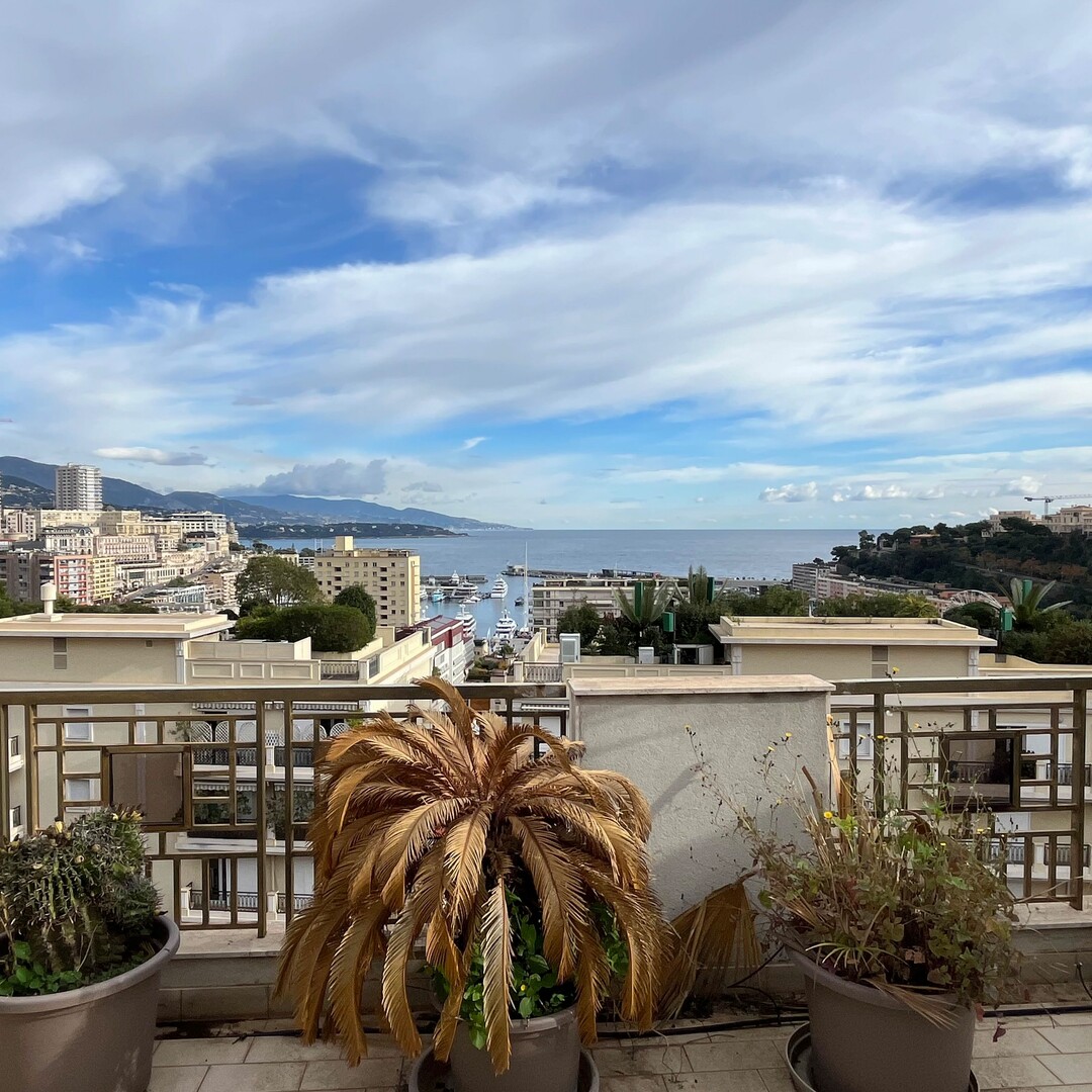 LUMINEUX DUPLEX  / PENTHOUSE  À LA CONDAMINE - Properties for sale in Monaco