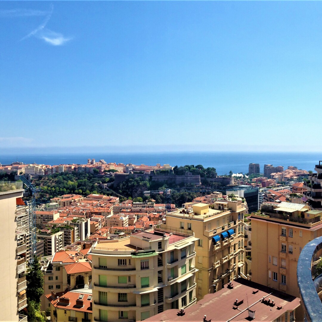 4 ROOM PENTHOUSE WITH ROOF TERRACE, PANORAMIC VIEW - Properties for sale in Monaco