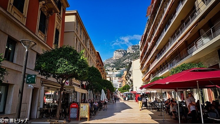 3P RUE PRINCESSE CAROLINE - Properties for sale in Monaco