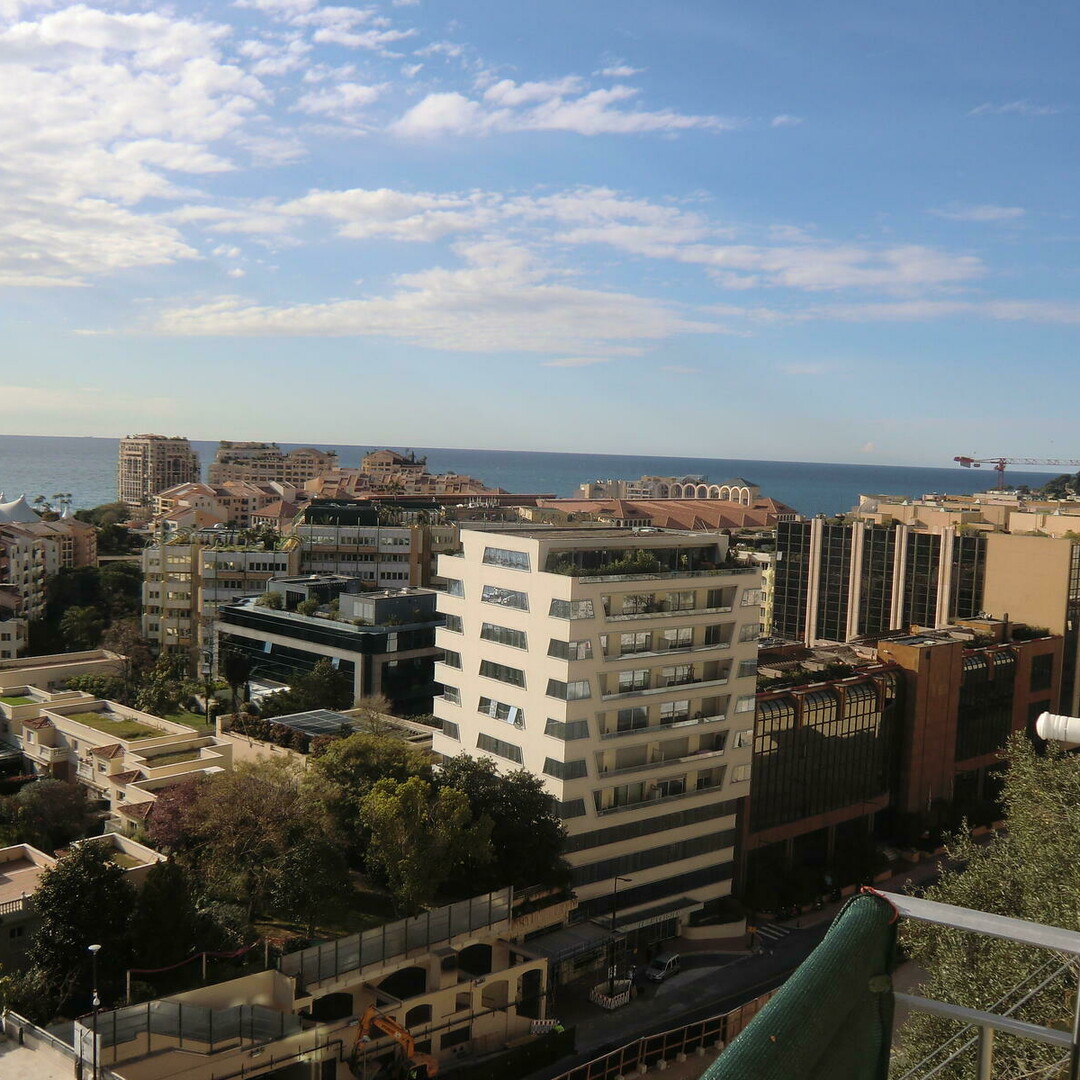 Charmant appartement sous loi 1291 - Properties for sale in Monaco