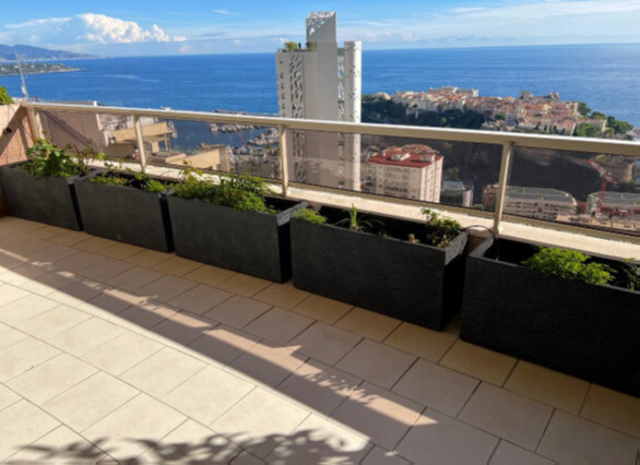 2 apartments to join in a luxury building - Properties for sale in Monaco