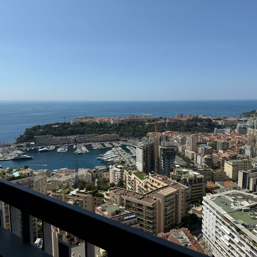 MAGNIFICENT CENTRAL APARTMENT - Properties for sale in Monaco