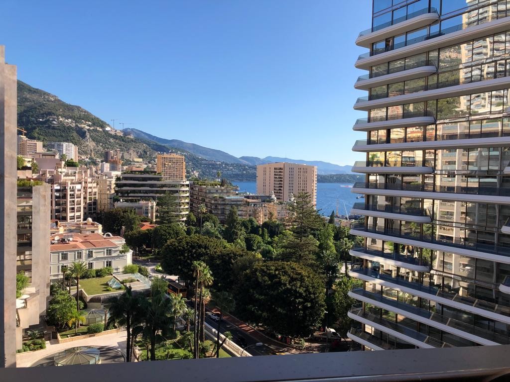 Luxury building Properties for sale in Monaco