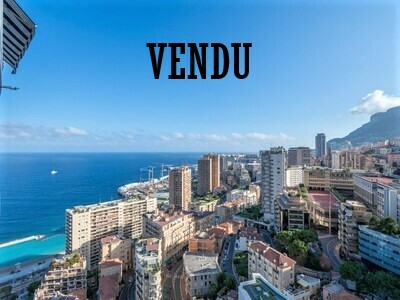 RARE CHATEAU PERIGORD 4/5 ROOMS ON THE TOP OF MONACO - Properties for sale in Monaco