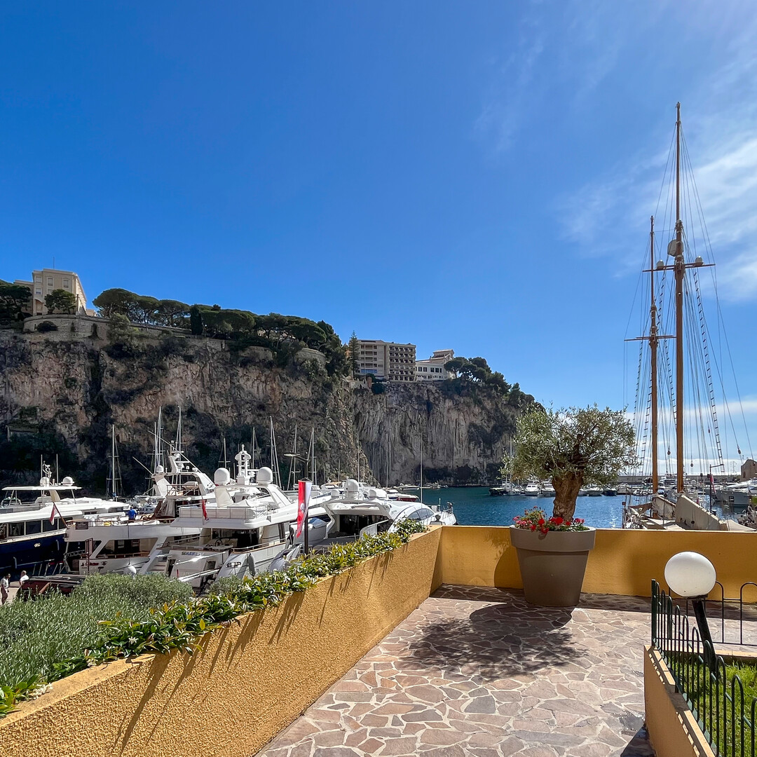 Commercial premises with ideal window rental yield - Properties for sale in Monaco