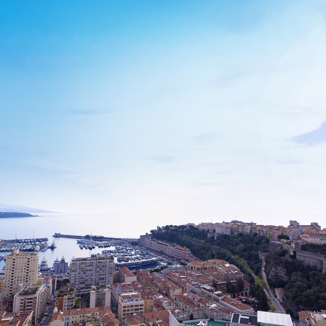 4 ROOMS PANORAMIC VIEW - Properties for sale in Monaco