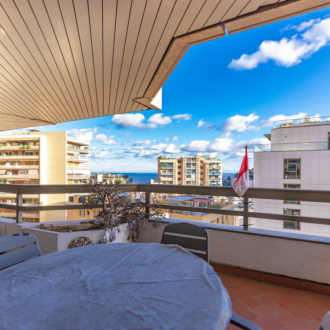 LARGE STUDIO WITH SEA VIEW - Properties for sale in Monaco