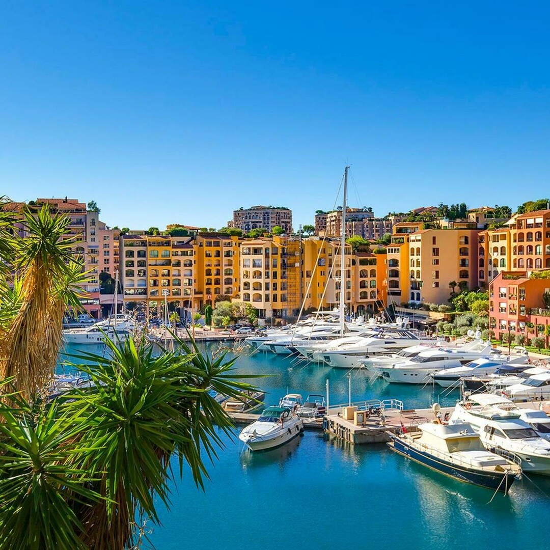RARE LARGE SURFACE IN FONTVIEILLE - Properties for sale in Monaco
