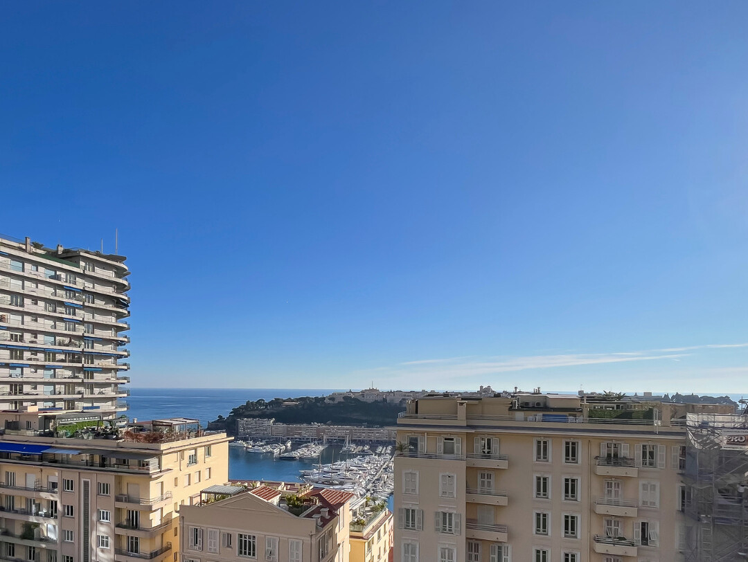 MAGNIFICENT 3 ROOM APARTMENT REFURBISHED - Properties for sale in Monaco