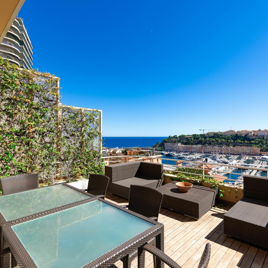 LARGE ONE-BEDROOM APARTMENT WITH TERRACE - Properties for sale in Monaco