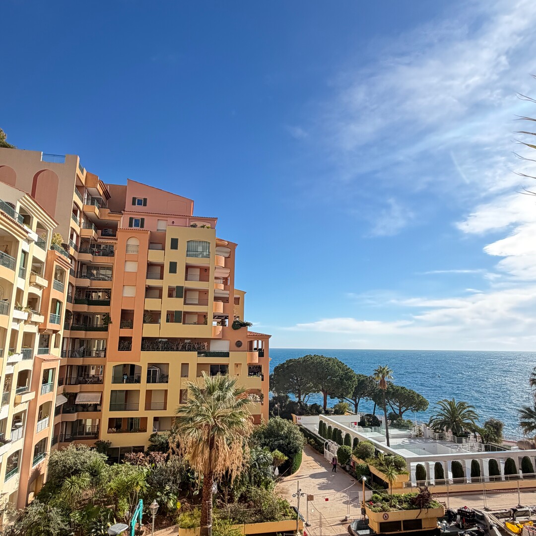 MAGNIFICENT 2 ROOM APARTMENT WITH SEA VIEW - Properties for sale in Monaco