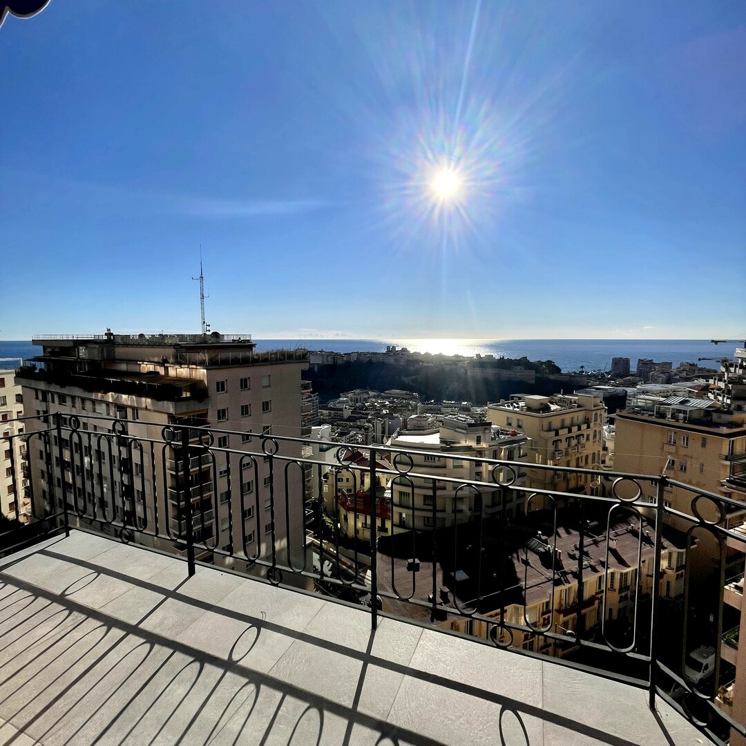 PENTHOUSE 4/5 ROOMS - Properties for sale in Monaco