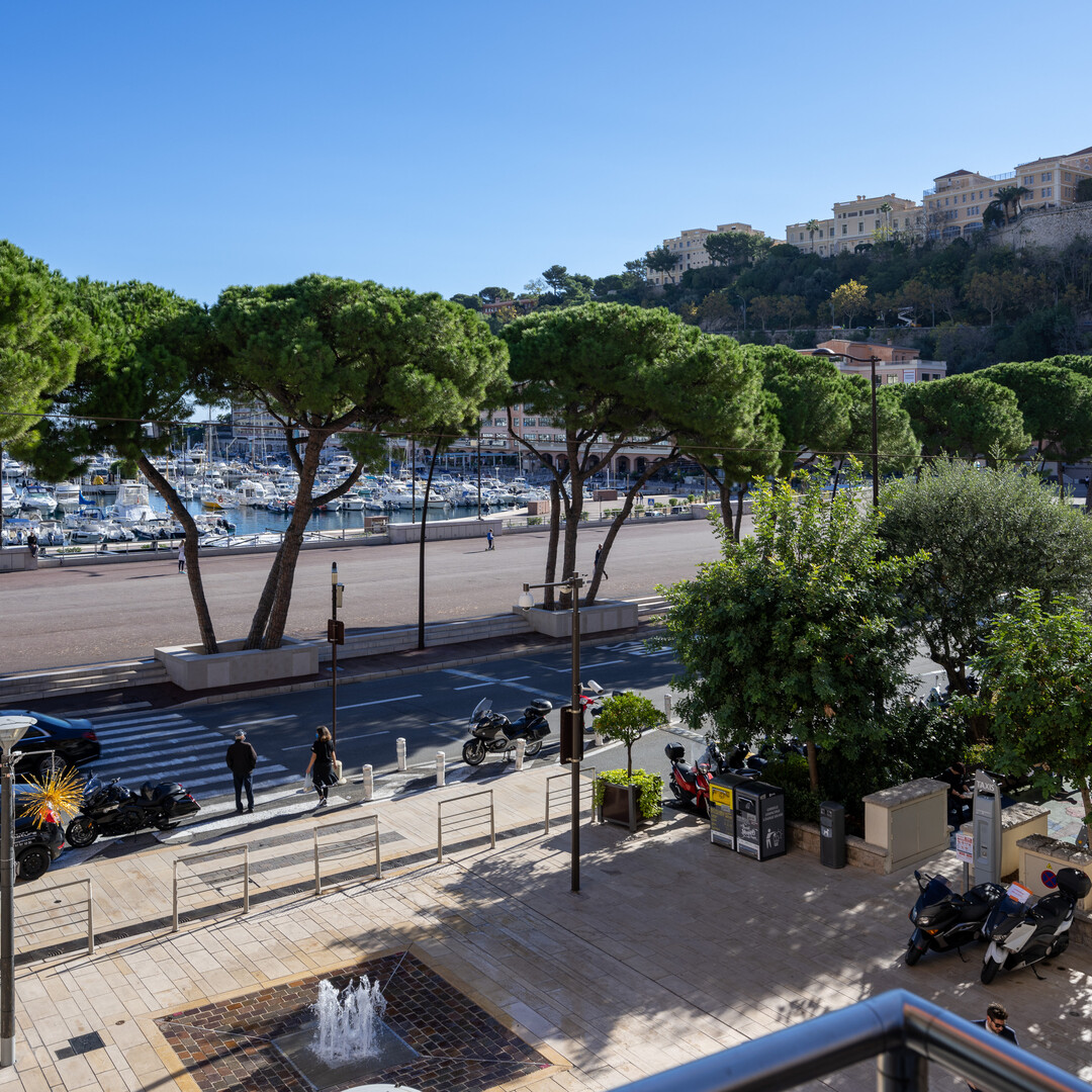 BEAUTIFUL 3 ROOMS MIXED USE APARTMENT - Properties for sale in Monaco